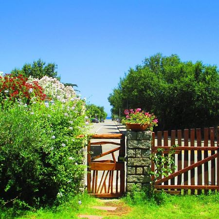 Phocea Bed & Breakfast San Teodoro  Dış mekan fotoğraf